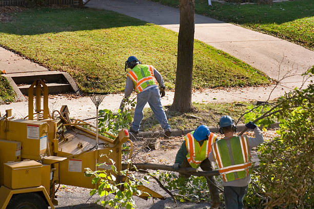 Lawn Renovation and Restoration in Apalachicola, FL